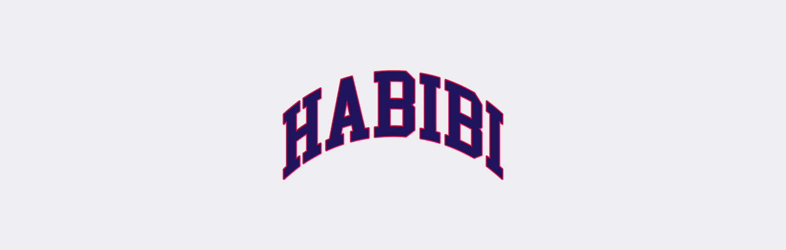 Habibi College