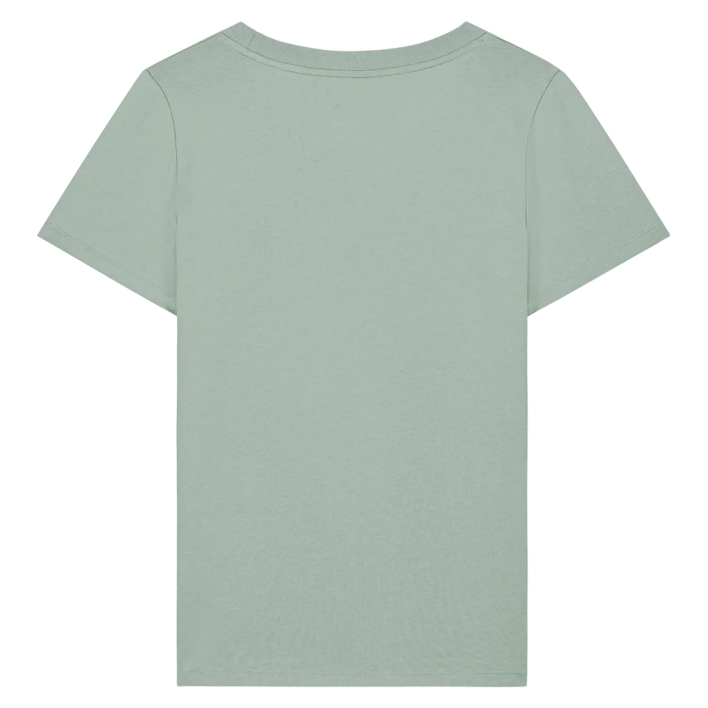 EXPRESSER20-ALOE-BACK