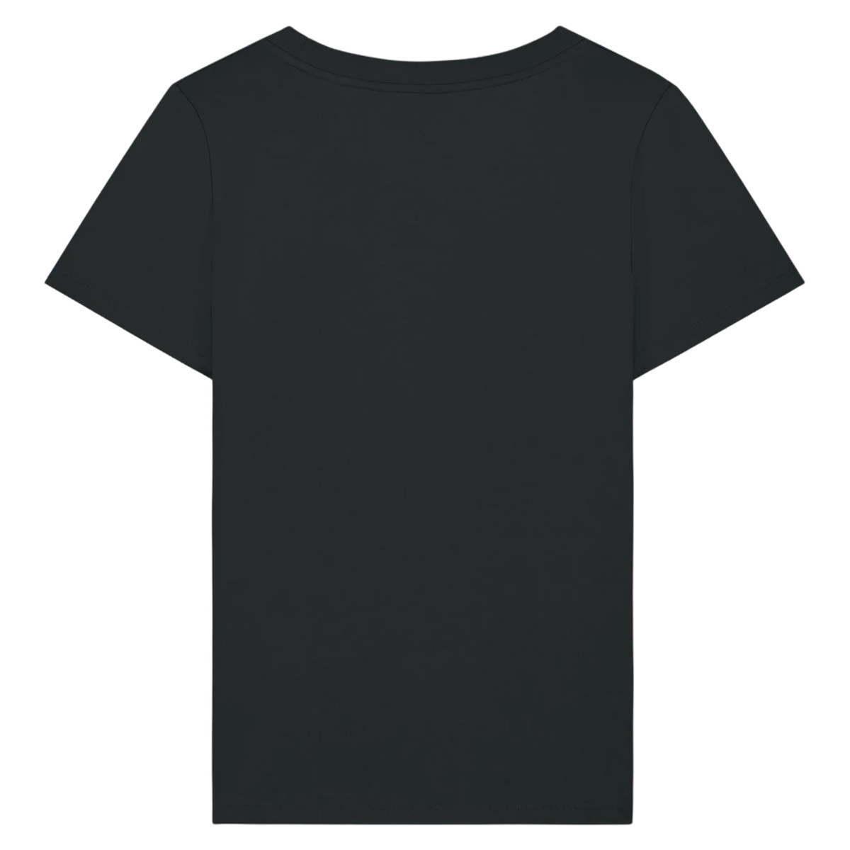 EXPRESSER20-BLACK-BACK