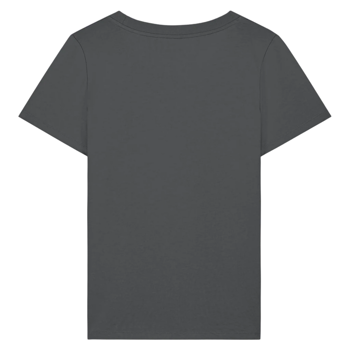 EXPRESSER20-ANTHRACITE-BACK