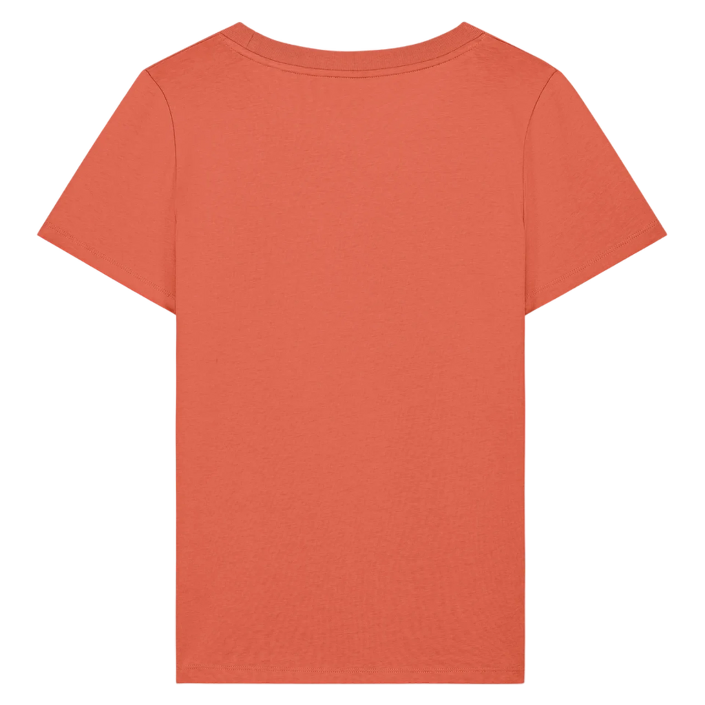 EXPRESSER20-FIESTA-BACK
