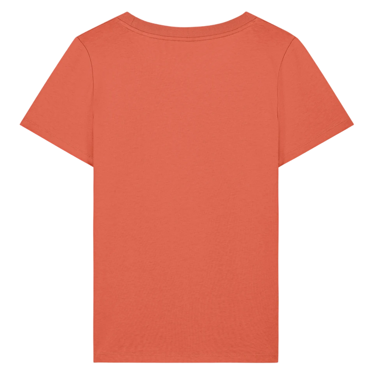 EXPRESSER20-FIESTA-BACK