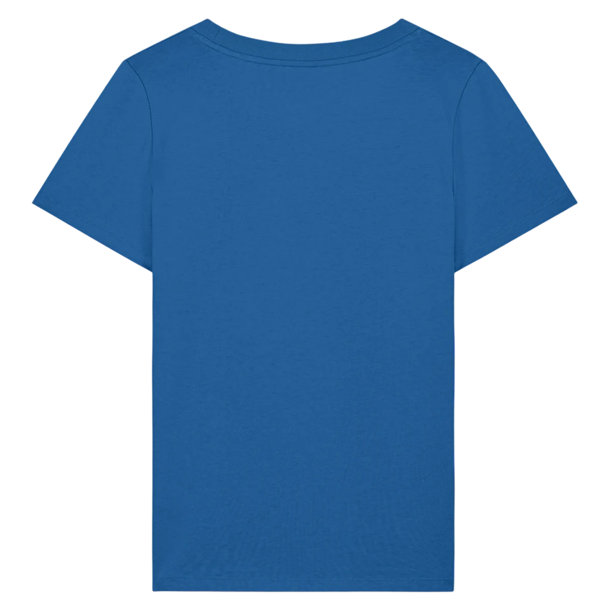 EXPRESSER20-ROYAL-BLUE-BACK