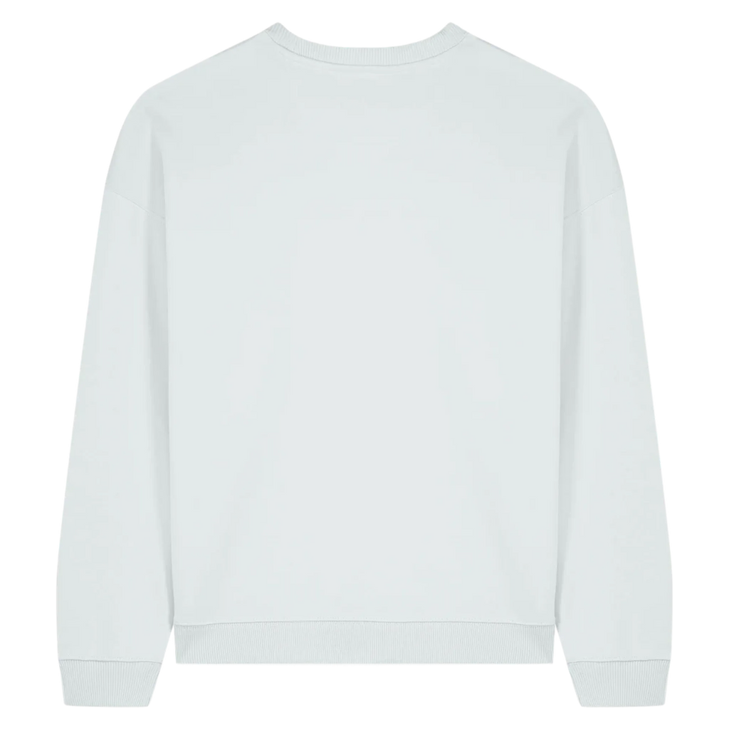 RADDER20-BLUE-ICE-BACK