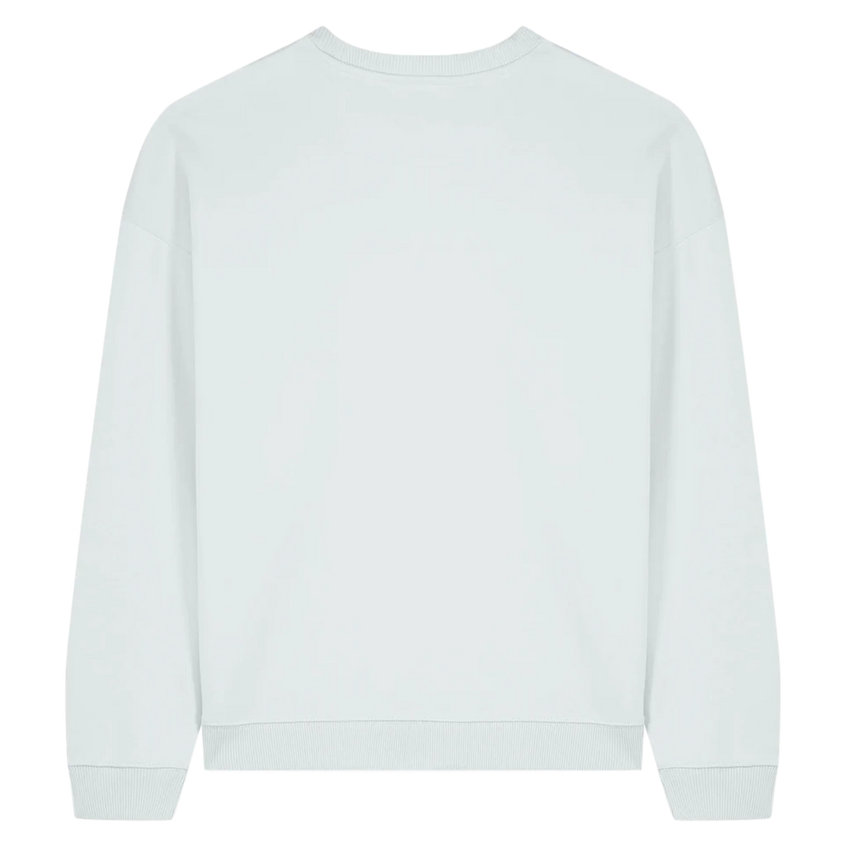 RADDER20-BLUE-ICE-BACK
