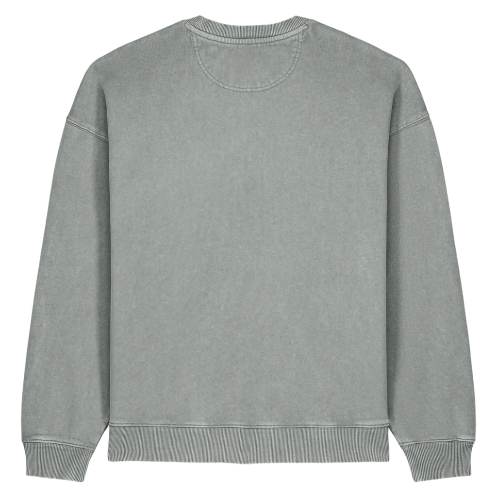 RADDER20V-G-DYED-MISTY-GREY-BACK