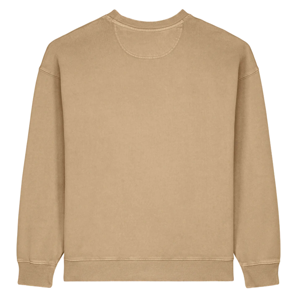 RADDER20V-G-DYED-LATTE-BACK