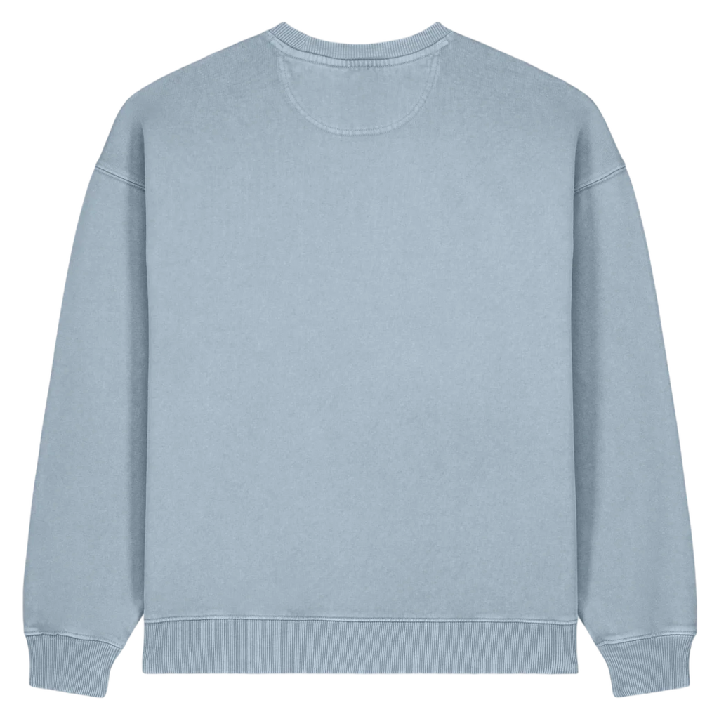 RADDER20V-G-DYED-BLUE-STONE-BACK