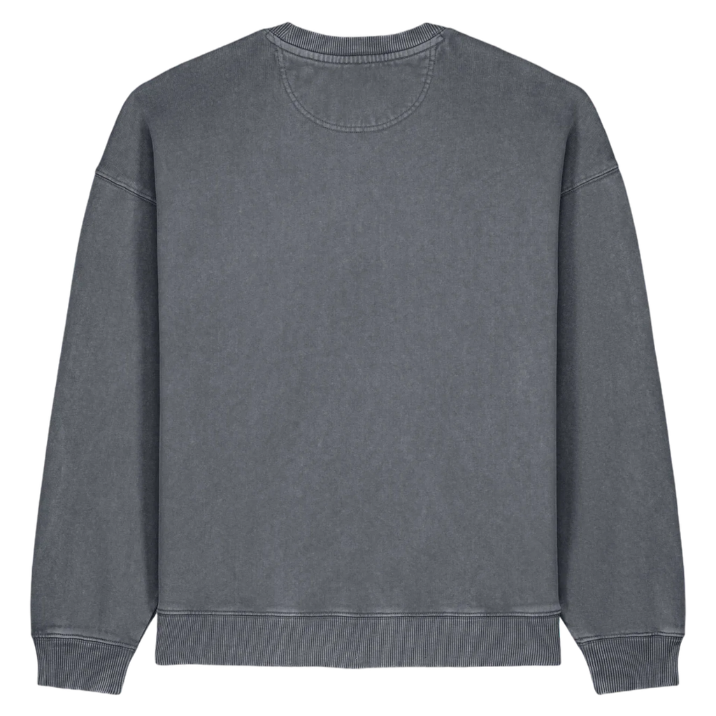 RADDER20V-G-DYED-ANTHRACITE-BACK