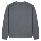 RADDER20V-G-DYED-ANTHRACITE-BACK