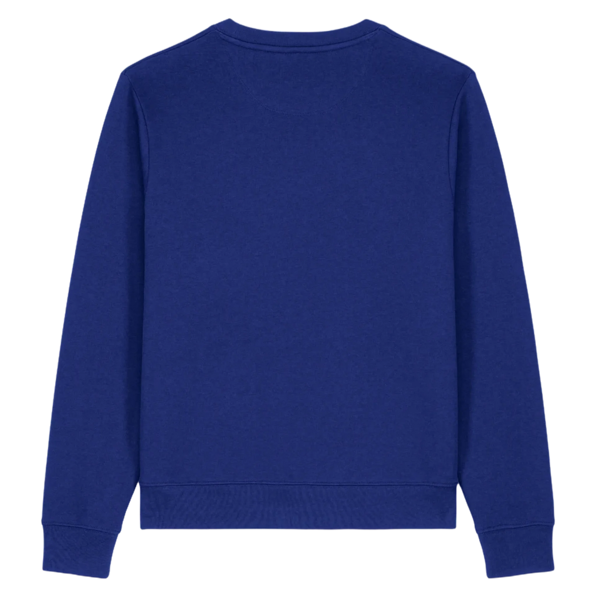 SWTHINKER-WORKER-BLUE-BACK