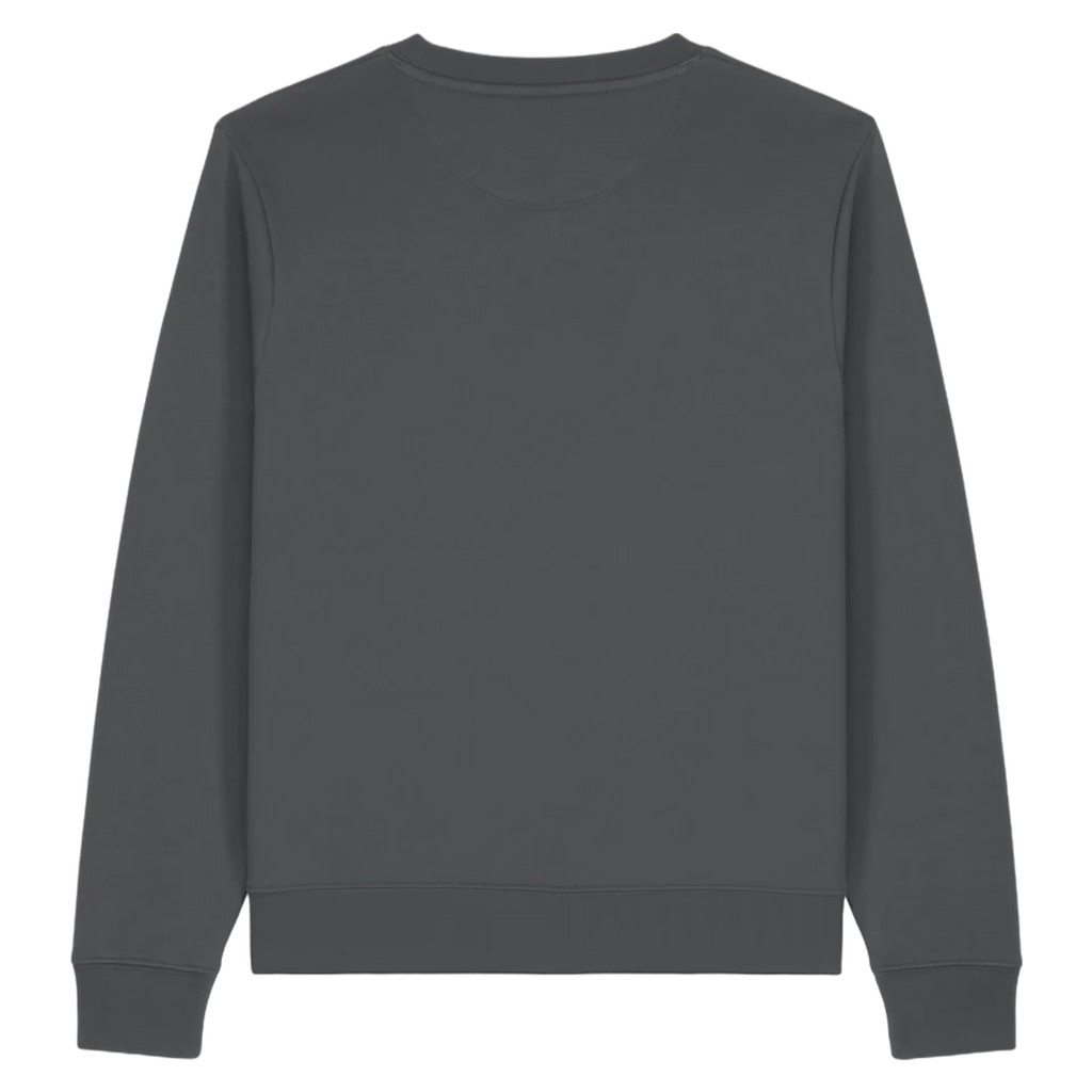 SWTHINKER-ANTHRACITE-BACK