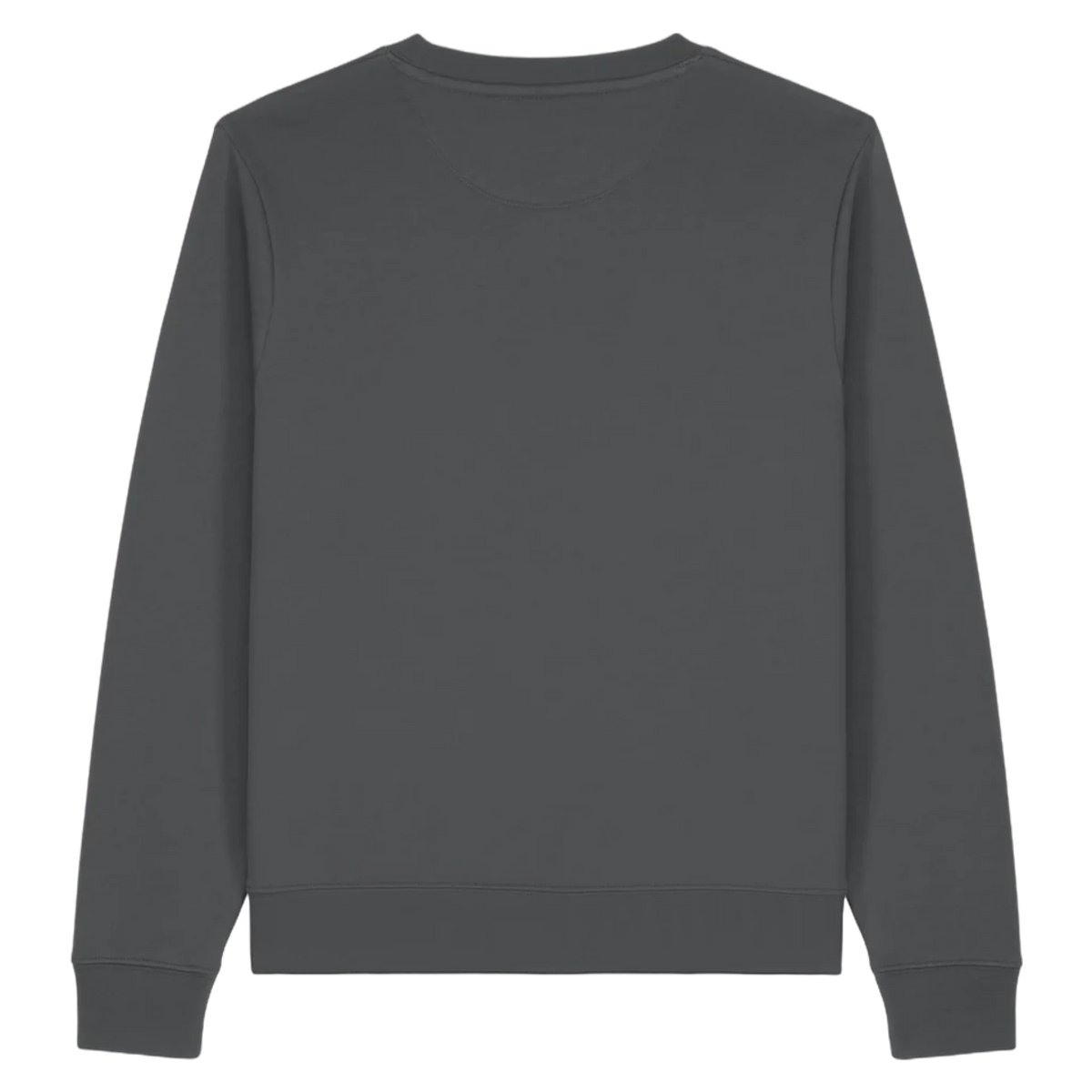SWTHINKER-ANTHRACITE-BACK