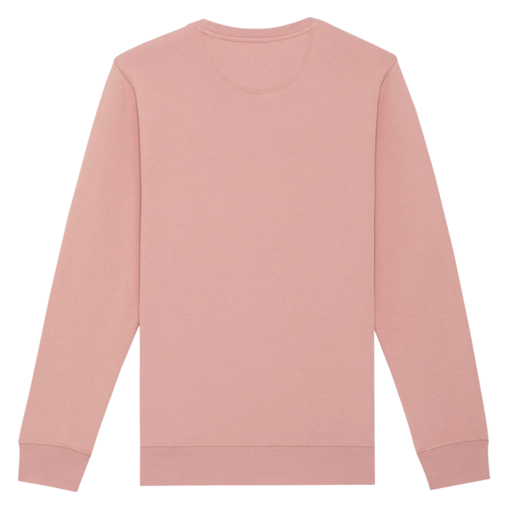 ROLLER-CANYON-PINK-BACK