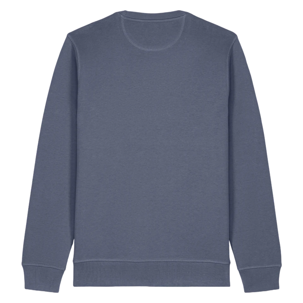 ROLLER-BLUE-GREY-BACK