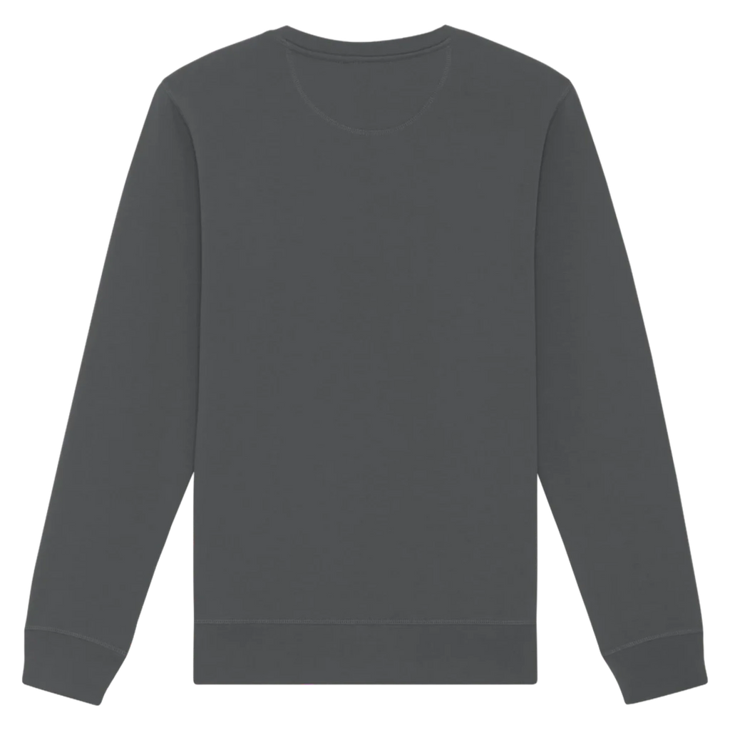 ROLLER-ANTHRACITE-BACK