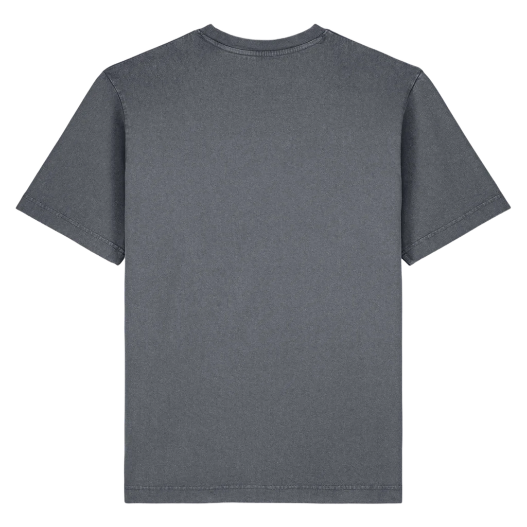 FREESTYLERV-G-DYED-ANTHRACITE-BACK