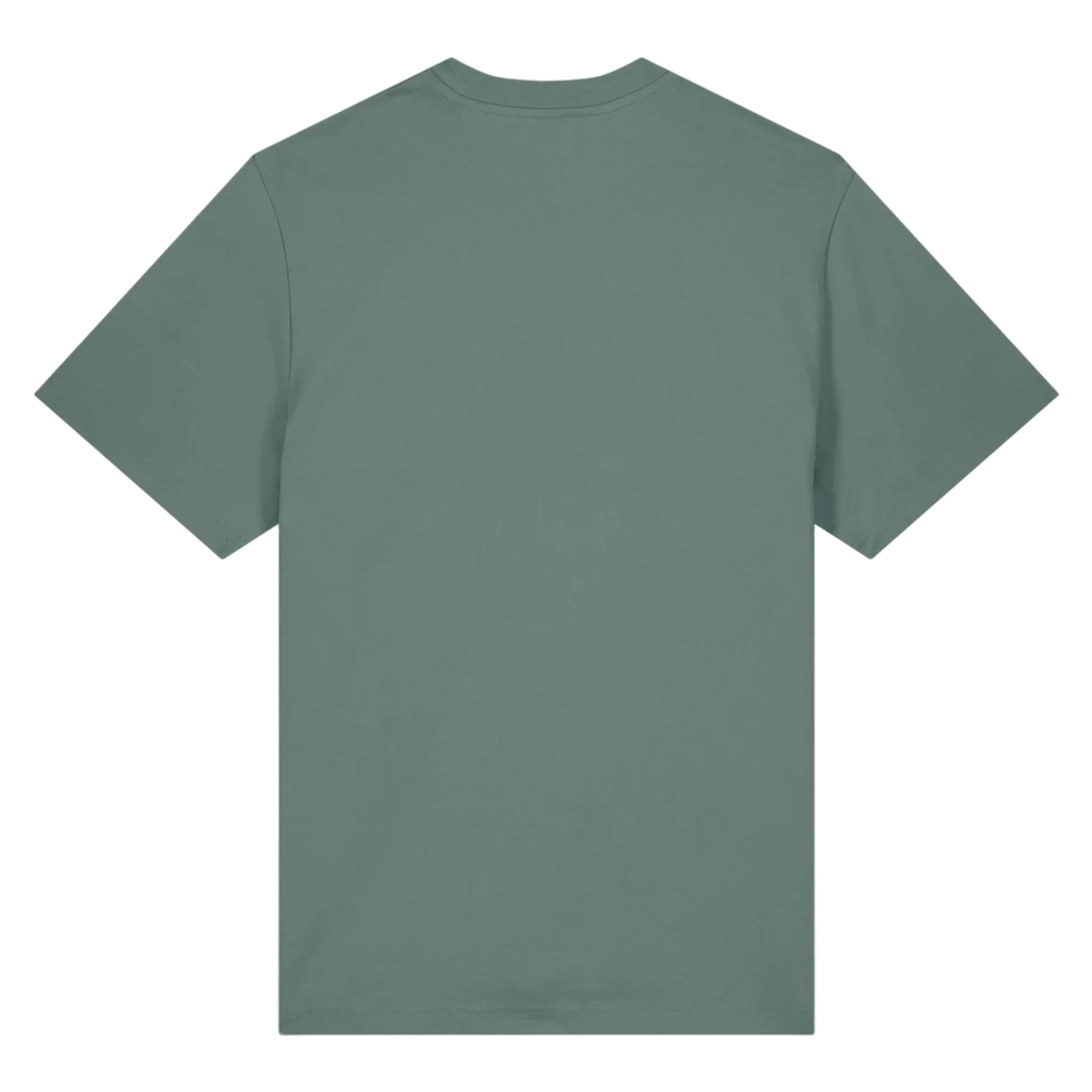 SPARKER20-GREEN-BAY-BACK