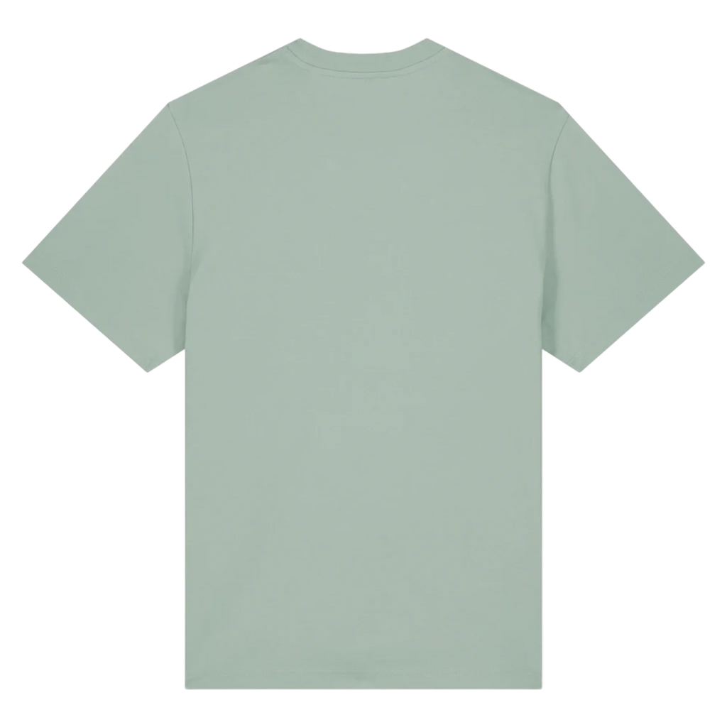 SPARKER20-ALOE-BACK