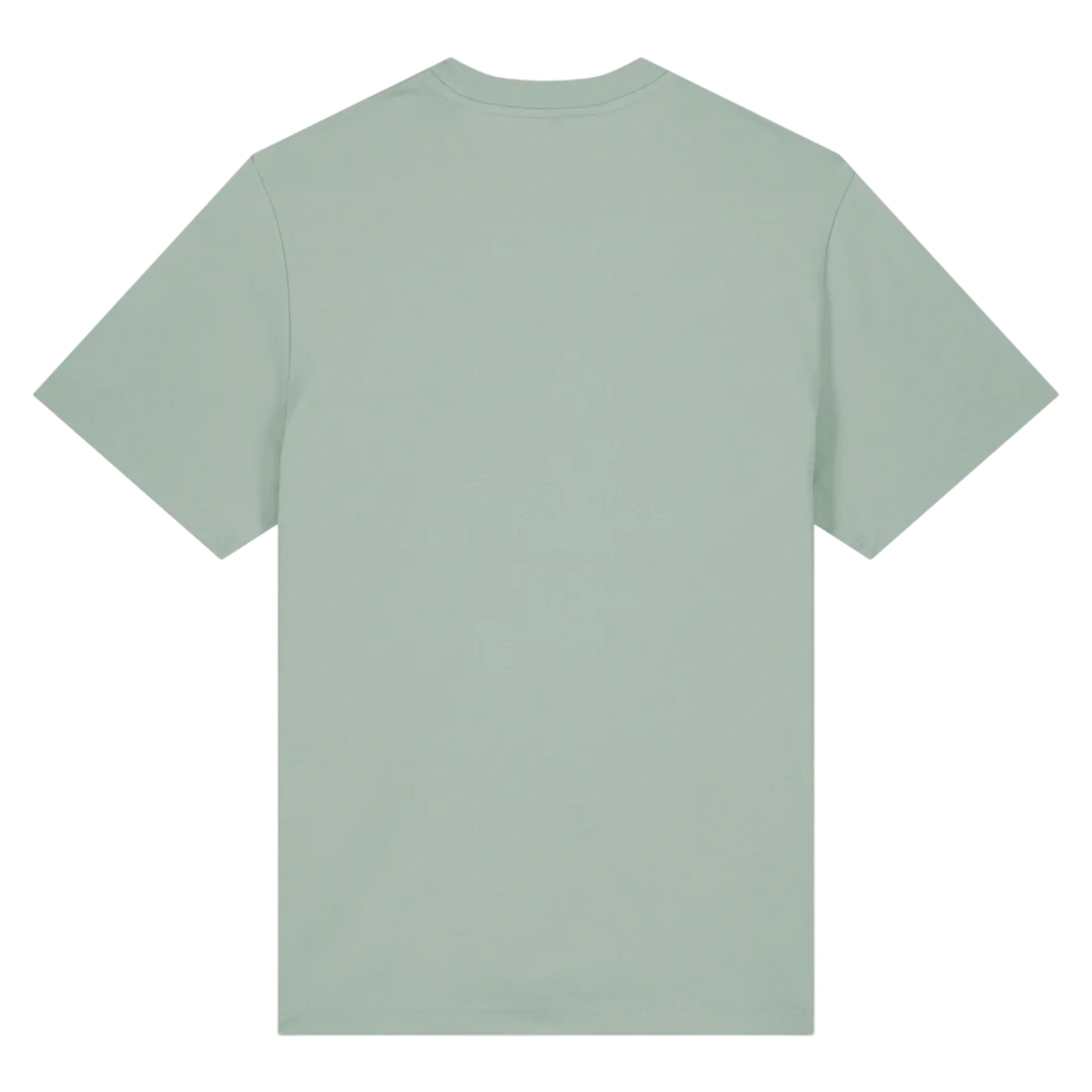 SPARKER20-ALOE-BACK