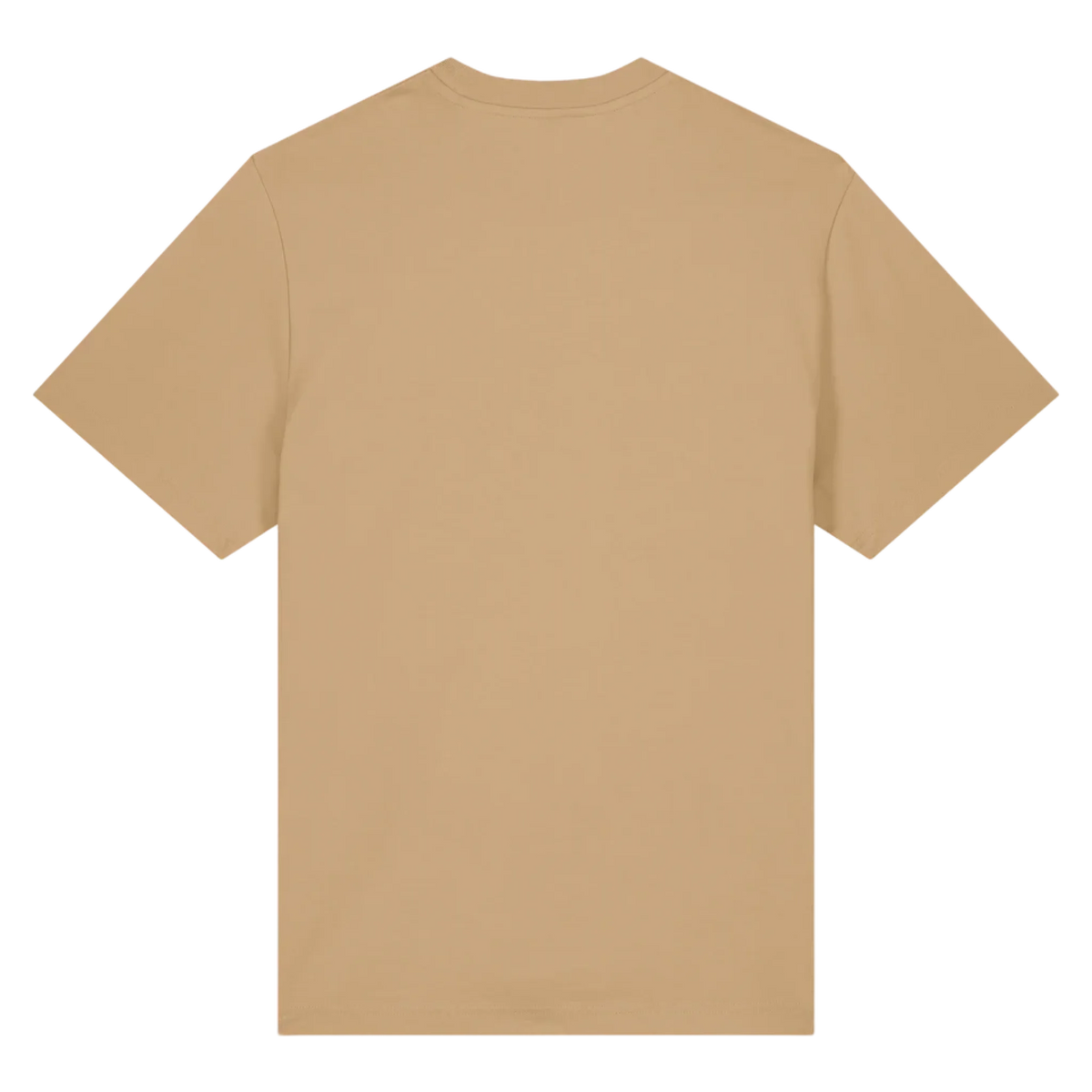 SPARKER20-LATTE-BACK