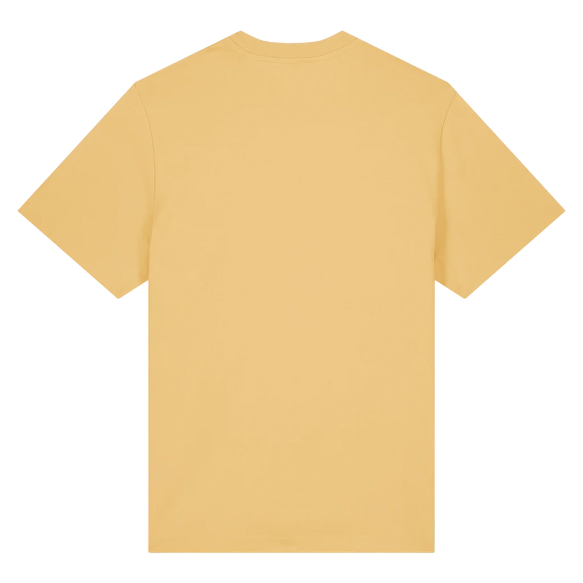 SPARKER20-NISPERO-BACK
