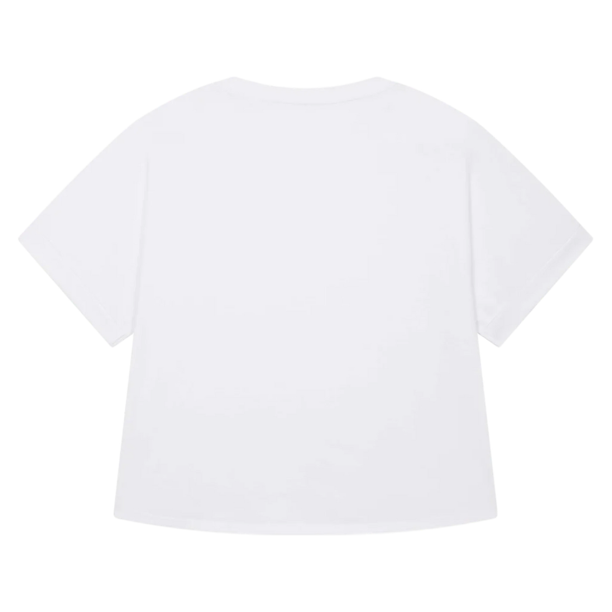 COLLIDER-WHITE-BACK