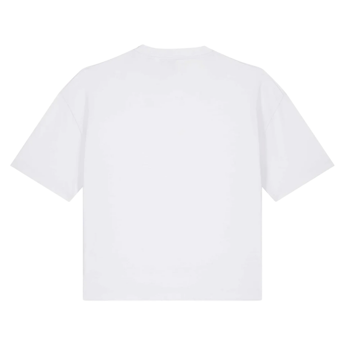 NOVA-WHITE-BACK