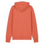 CRUISER20-FIESTA-BACK