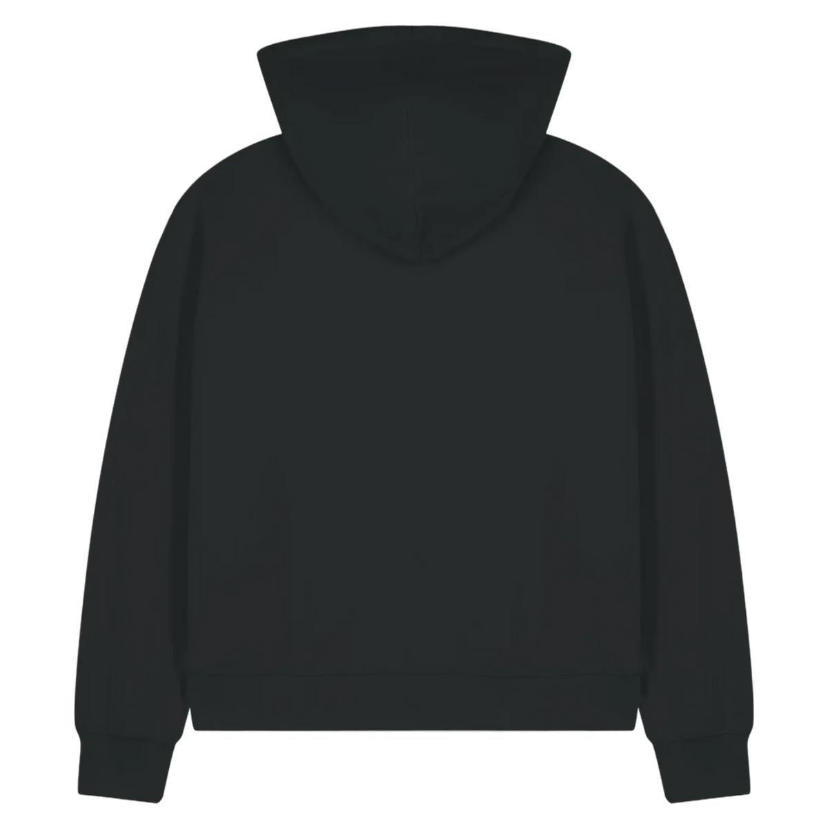 IDA-BLACK-BACK
