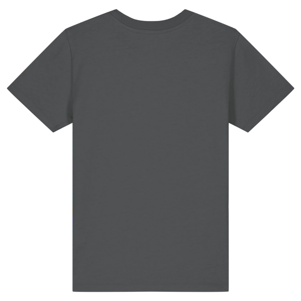 MINICREATOR20-ANTHRACITE-BACK