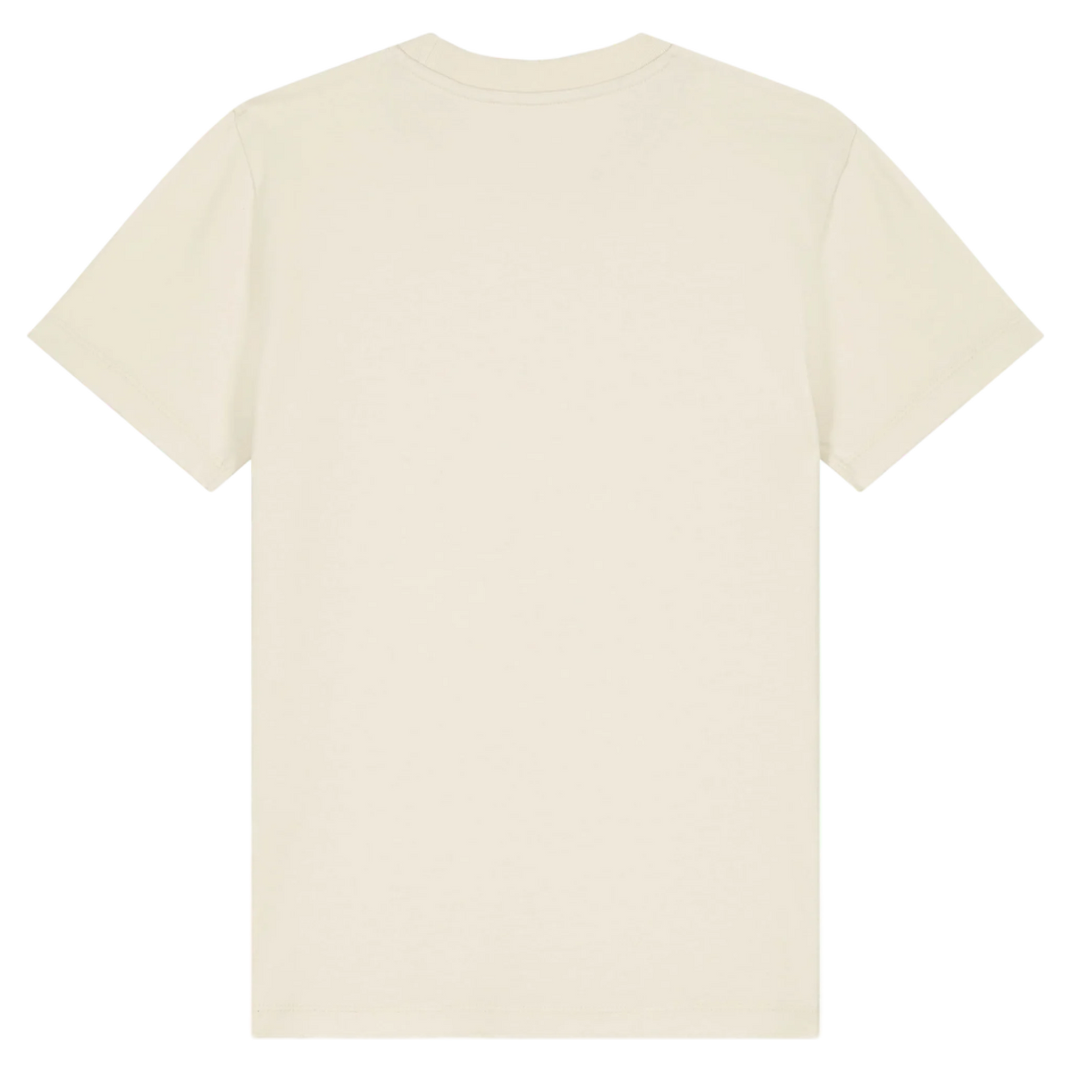 MINICREATOR20-NATURAL-RAW-BACK