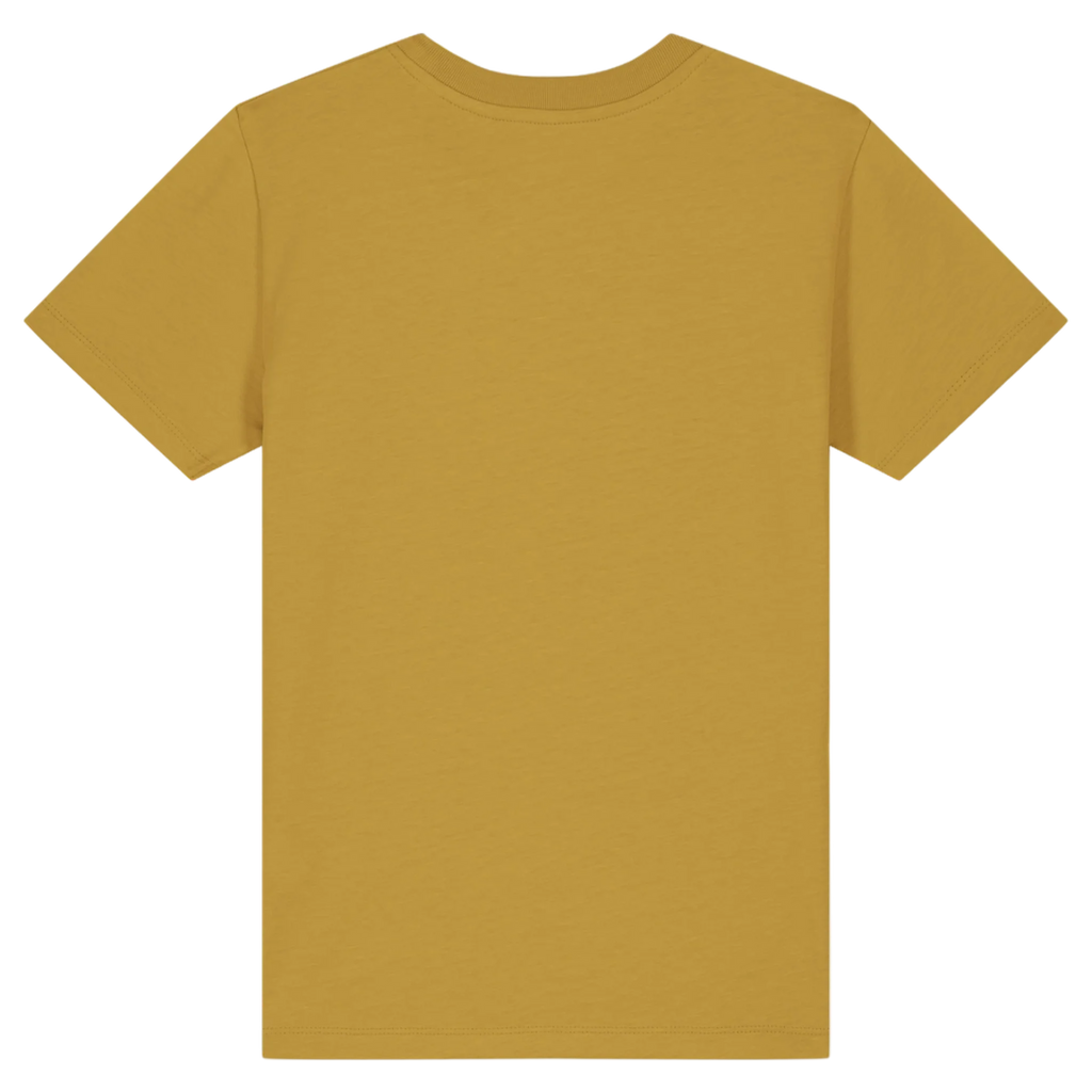 MINICREATOR20-OCHRE-BACK