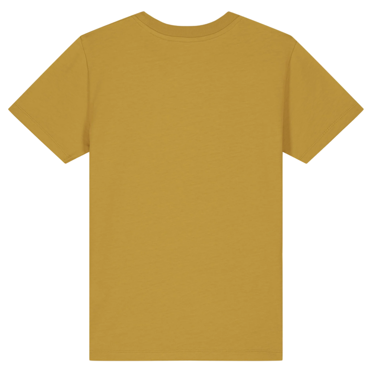 MINICREATOR20-OCHRE-BACK