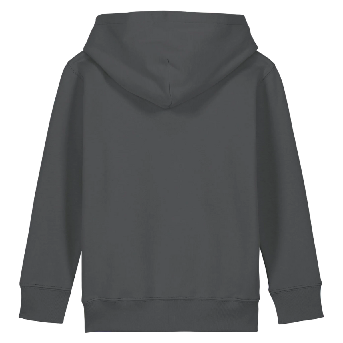 MINICRUISER20-ANTHRACITE-BACK