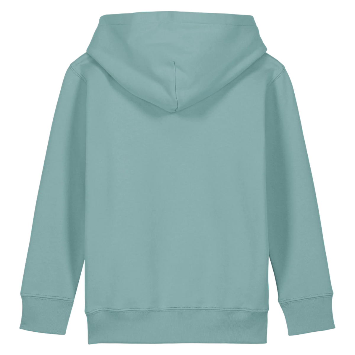MINICRUISER20-TEAL-MONSTERA-BACK