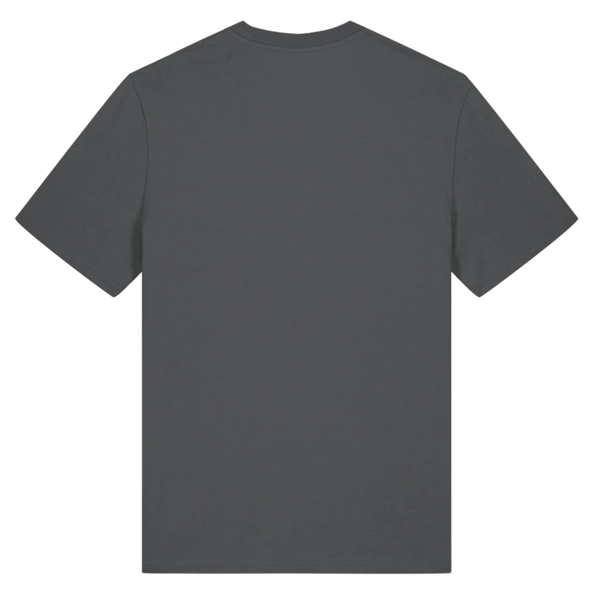 CREATOR20N-ANTHRACITE-BACK