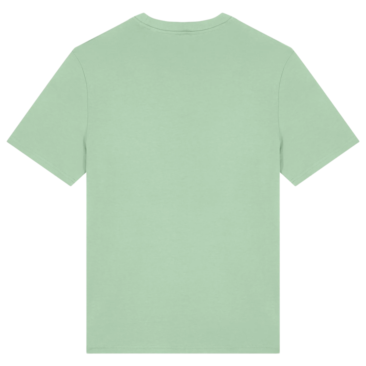 CREATOR20N-MISTY-JADE-BACK