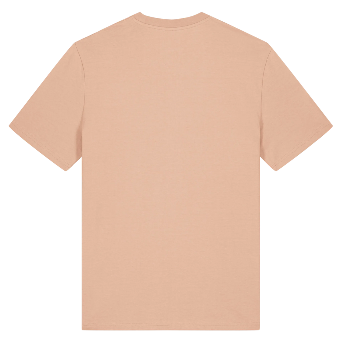 CREATOR20N-FRAICHE-PECHE-BACK