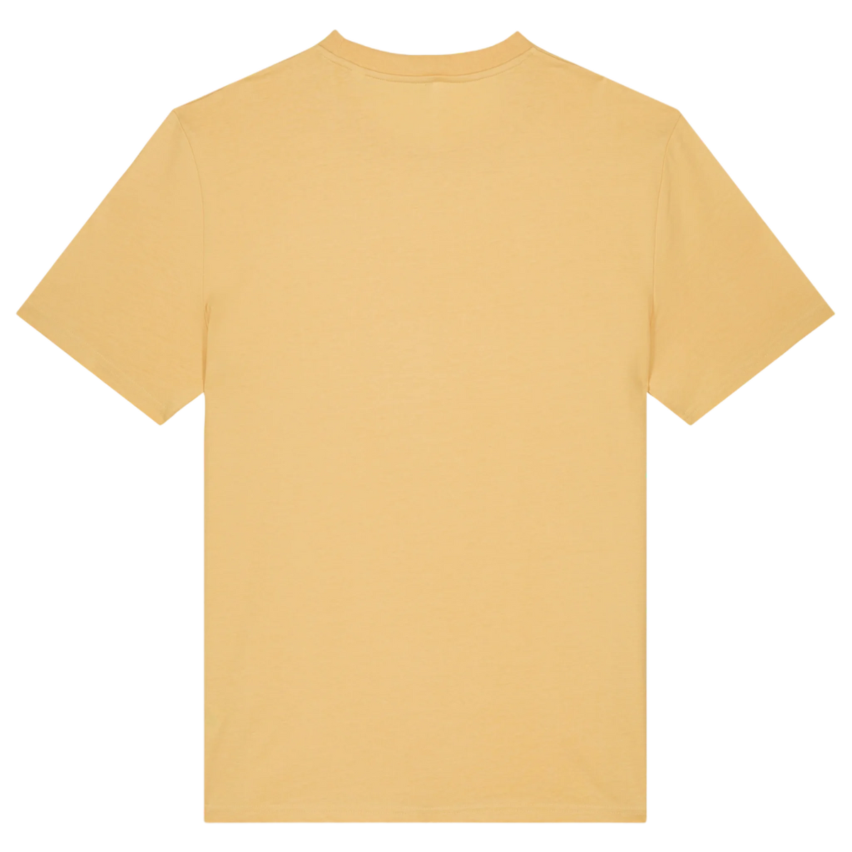 CREATOR20N-NISPERO-BACK