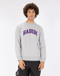 SWEAT THEBR-HABIBI COLLEGE