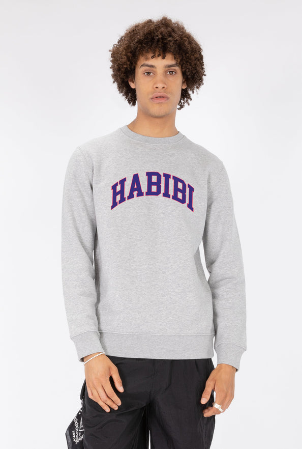 SWEAT THEBR-HABIBI COLLEGE
